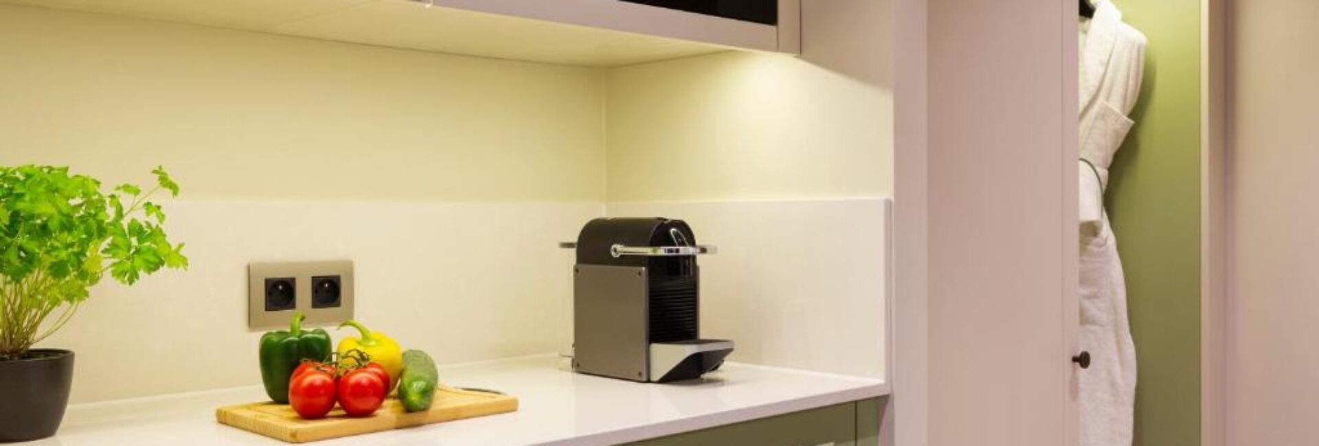 Deluxe Apartment