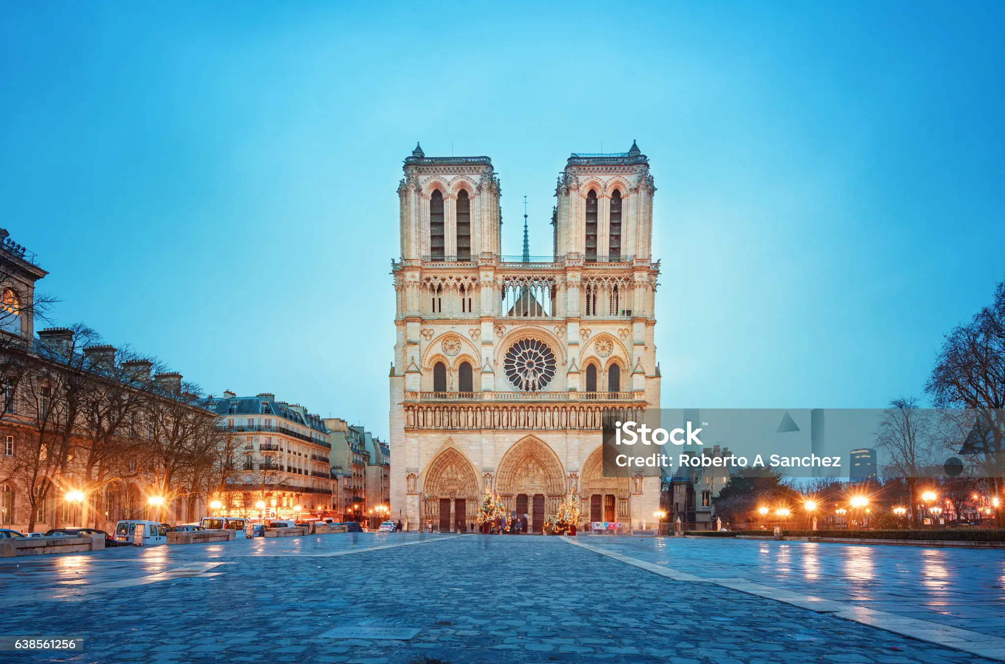 Notre-Dame de Paris: Taşın, İnancın ve Direncin Zamansız Bir Senfonisi